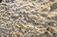 Cjp_2010_04_14_155615 (1).jpg